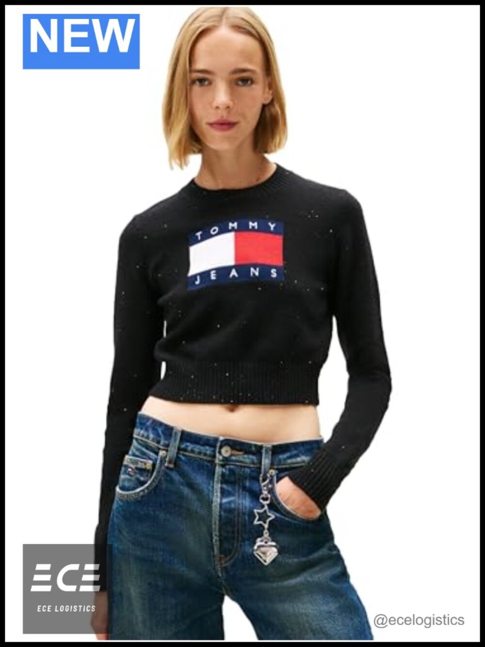 Long Sleeve Pullover Crewneck Sweater Big Flag Logo Sparkle Detail